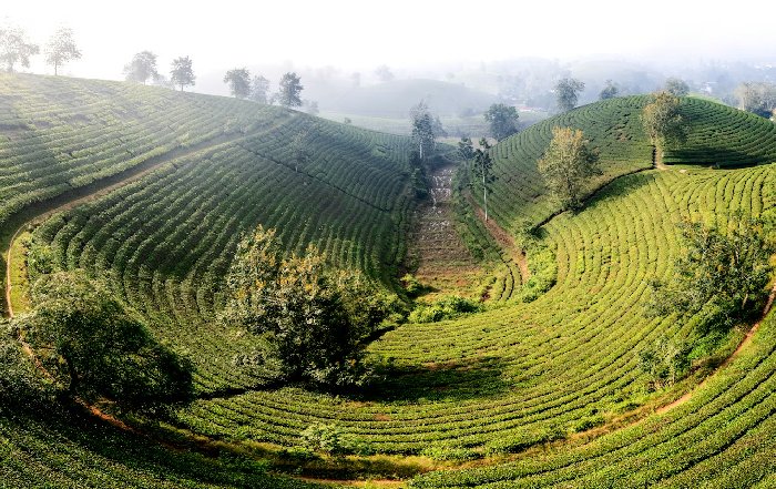 Article Image for Financing the Green Transition in Asia