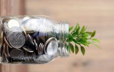 Article Image for Sustainable Finance Attracts Institutional Investors