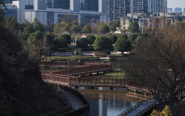 Article Image for Sustainable Urban Development Projects