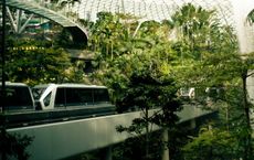 Article Image for The Future of Sustainable Business Practices