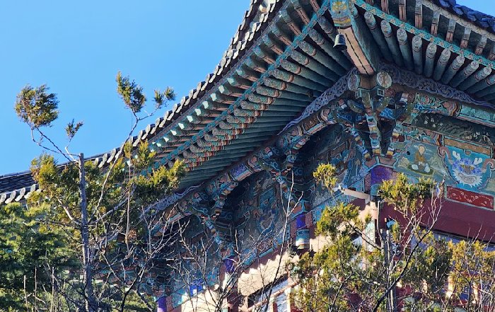 Article Image for The Growth of the Green Economy in South Korea